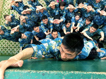 泰康人壽田田教育基地培訓